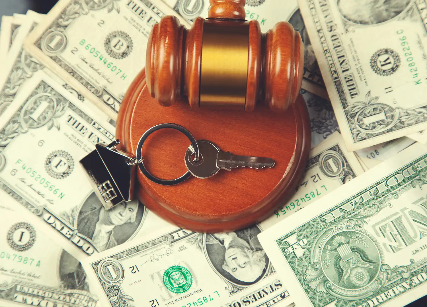 lawyers-and-law-firms